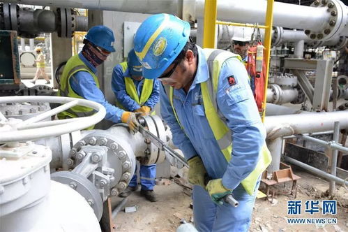 攜手共進，開創(chuàng)未來 科威特王子與中國伙伴的戰(zhàn)略合作探索