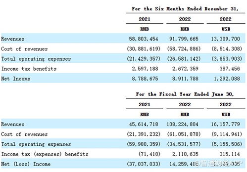 重銷售輕研發(fā)，致保科技赴美IPO成長性迎考，單一業(yè)務(wù)依賴風(fēng)險凸顯