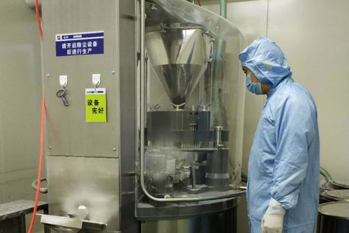 金花制藥廠順利完成GMP符合性自檢工作，全面承接總公司核心業(yè)務(wù)